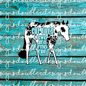 File SVG di clip art di Overo Paint Horse, Cricut, Silhouette, PDF, JPG, apha, Pleasure Horse