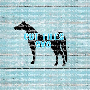 Cheval arabe Clip Art fichiers SVG, arabe, cheval arabe, Cricut, Silhouette, camée fichiers de coupe, SVG, fichier de coupe, cheval, équin, équestre
