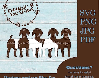 Boerenhine-clipart 4 pk, showgeit (svg, png, pdf, jpg) (digitale download)