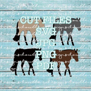 Lot de 4 fichiers clip art cheval de plaisance Quarter Horse pour petite entreprise et usage personnel, Cricut, Silhouette, SVG, PDF, JPG