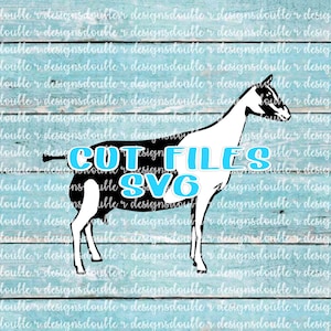 Swiss Type Doe #1 Dairy Goat Show Goat Files for Personal Use, Cricut, Silhouette, SVG, PDF, JPG
