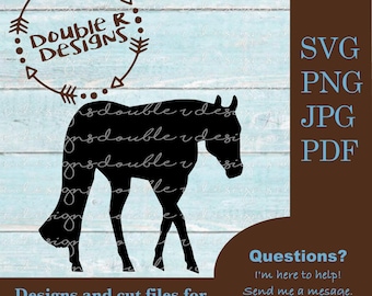 Pleasure Horse Quarter Horse Clip Art: SVG, PDF, JPG (Digital Download)