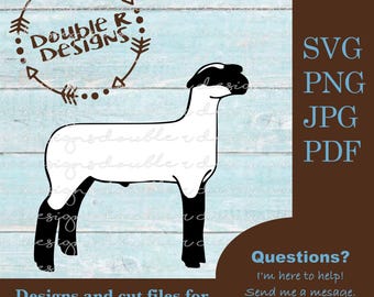 Club Lamb SVG, Show Lamb Clipart (PDF, JPG)