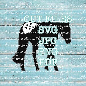 Appaloosa Pferd Clip Art, für kleine Unternehmen und den persönlichen Gebrauch, Cricut, Silhouette, SVG, PDF, JPG, Appy Pferd, Showpferd, Sportpferd