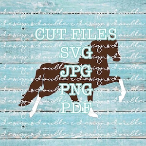 Fichiers SVG clipart cheval d'allure, marche cheval, Tennessee Walker