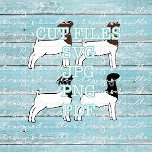 Markt Zeigen Gruppe, Markt Ziege, Boer Ziege Datei für kleine Unternehmen und den persönlichen Gebrauch, Cricut, Silhouette, SVG, PDF, JPG