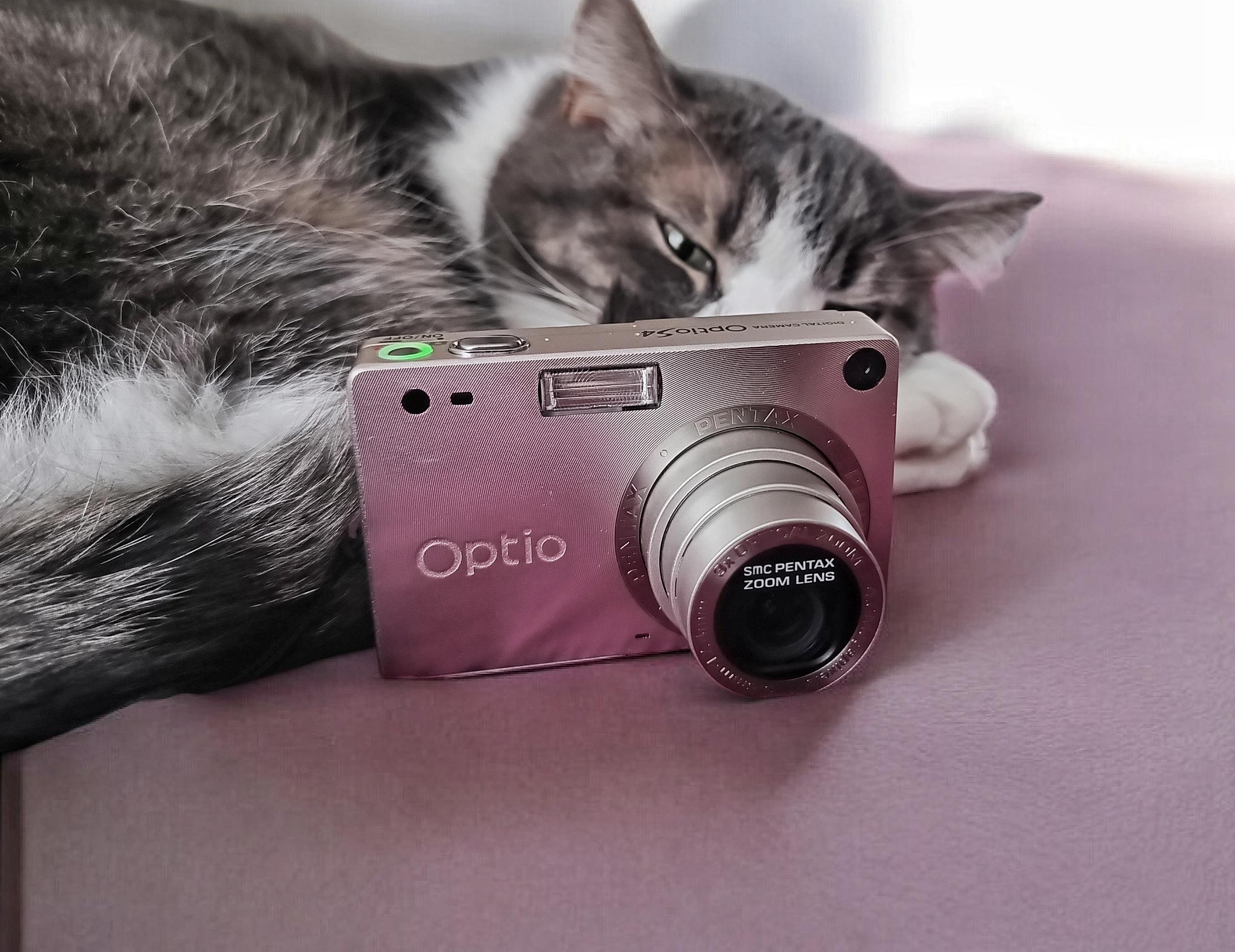 【完動品・完備品】PENTAX Optio S4 デジタル カメラ ピンク Pentax Optio S4 Digital Camera 4MP | Compact Vintage Camera