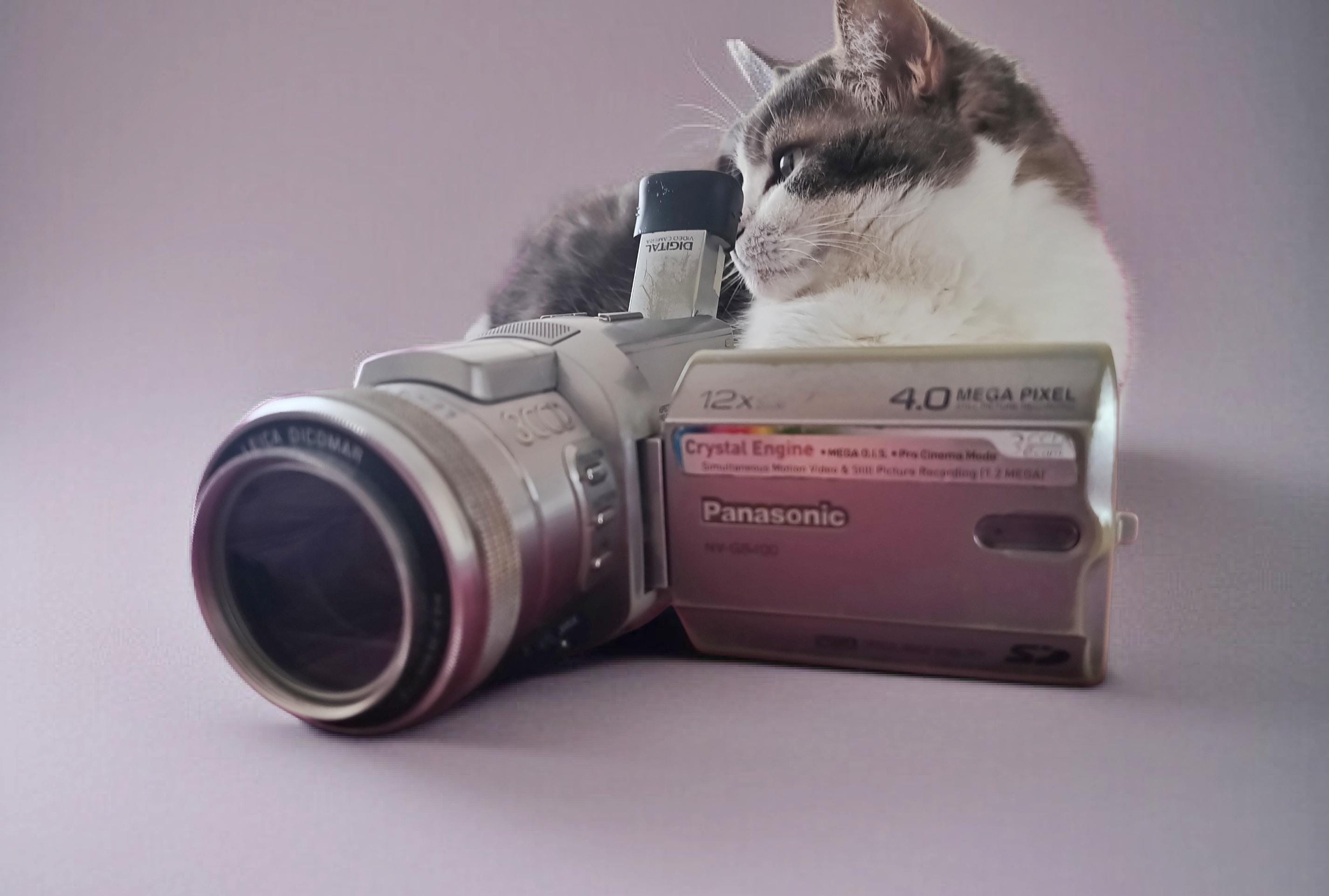 Panasonic NV-GS400 Minidv Camcorder | 3CCD Vintage Video Camera