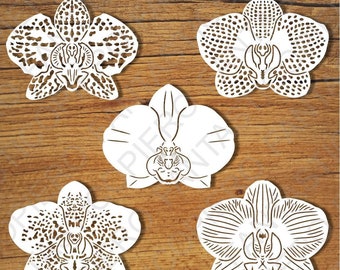 Orchid Flowers SVG files for Silhouette Cameo and Cricut. Clipart PNG transparent included.