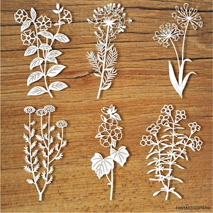 Wildflowers (set 3) SVG files for Silhouette Cameo and Cricut. Wildflowers (set 3) clipart PNG transparent included.