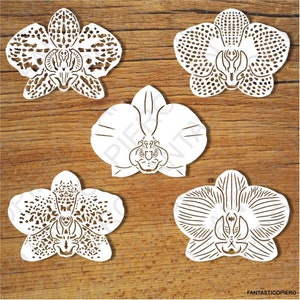 Orchid Flowers SVG files for Silhouette Cameo and Cricut. Clipart PNG transparent included.