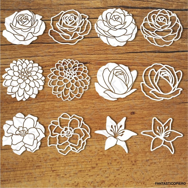 Flowers (set 2) SVG files for Silhouette Cameo and Cricut. Flowers clipart PNG transparent included.