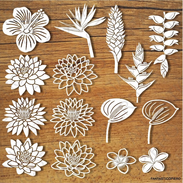 Fichiers Tropical Flowers SVG pour Silhouette Cameo et Cricut. Clipart PNG transparent inclus.