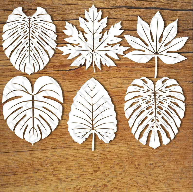 Download Tropical laisse des fichiers SVG set1 pour Silhouette ...