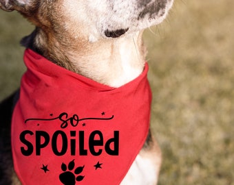 accesorios para mascotas-ropa para perros- accesorios divertidos para mascotas- ropa personalizada para mascotas- ropa para perros- pañuelo para mascotas para perros - pañuelo para perros- ropa para el cuello del perro-
