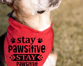accesorios para mascotas-ropa para perros- accesorios divertidos para mascotas- ropa personalizada para mascotas- ropa para perros- pañuelo para mascotas para perros - pañuelo para perros- ropa para el cuello del perro-