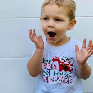 Children&#39;s embroidered Christmas shirt, Santa bring me dinosaurs Christmas shirts