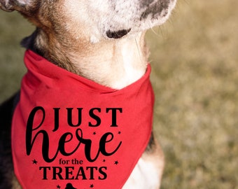 accesorios para mascotas-ropa para perros- accesorios divertidos para mascotas- ropa personalizada para mascotas- ropa para perros- pañuelo para mascotas para perros - pañuelo para perros- ropa para el cuello del perro-