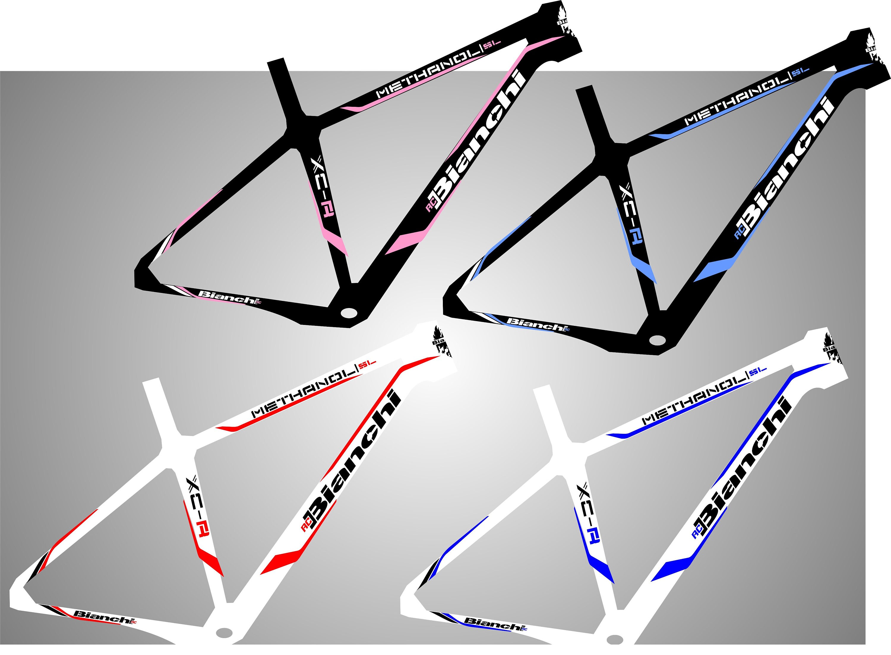 BIANCHI bike frame graphic decals stickers aufkleber Etsy