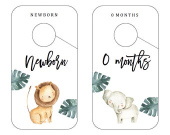 Safari Theme Nursery Etsy