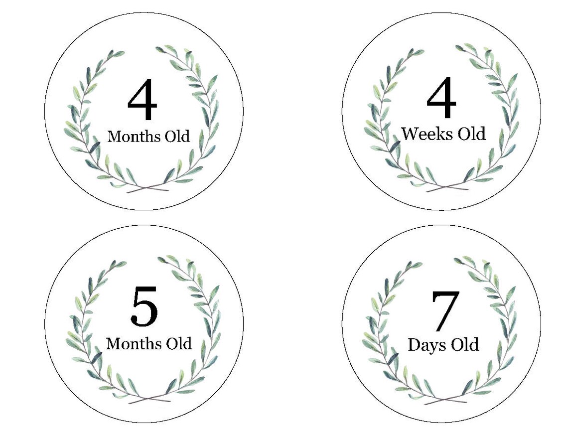 Digital Milestone Printable Milestone Stickers Milestone - Etsy