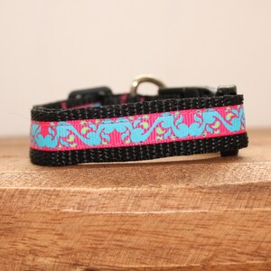 Neon Paisley Dog Collar