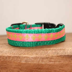 Neon Chandeliers Dog Collar