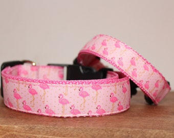 plain dog collars bulk