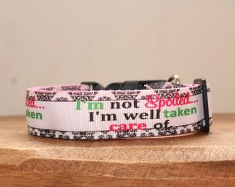 I'm Not Spoiled I'm Well Taken Care of Dog Collar,  Leash or Matched Set...also available for WHOLESALE