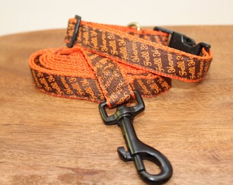 Automne Harvest Thanksgiving Small Dog Collar - Leash Set