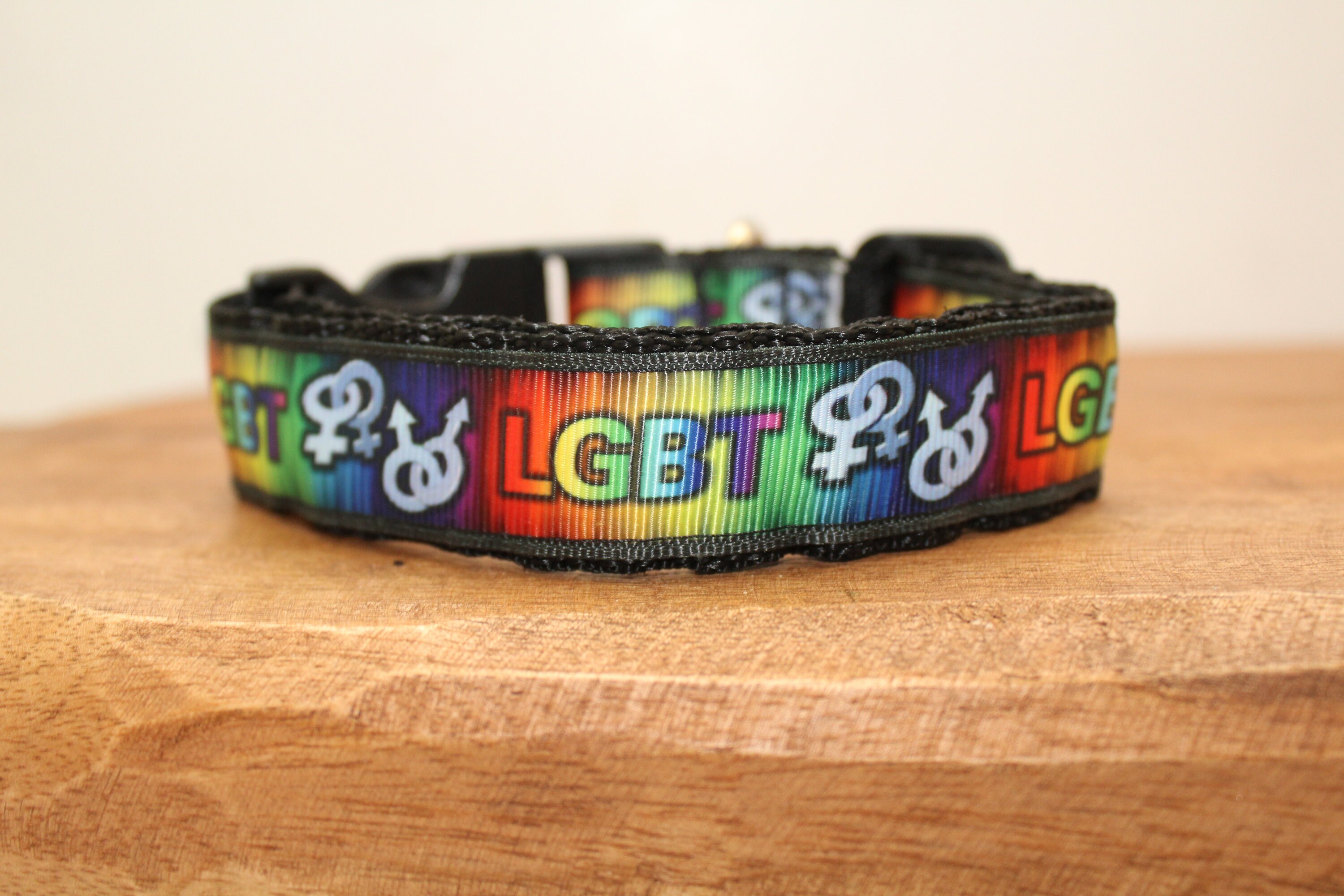 LGBT Gay Pride Homosexual Support Dog Collar Leash or