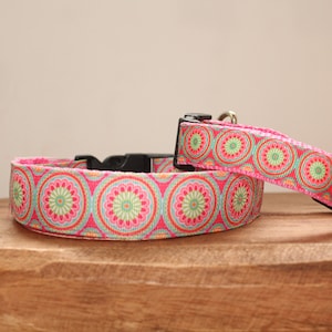 Cute Dog Collar 