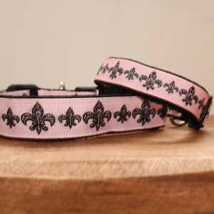  Fleur de Lis Martingale Collar Color: Gold, Size: Small (0.75  x 14) : Pet Collars : Pet Supplies