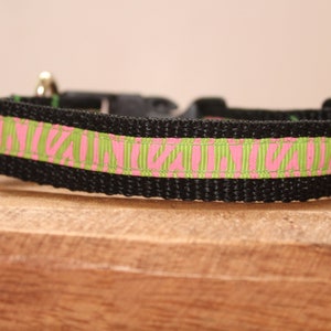 Neon Pink and Green Zebra Dog Collar