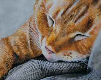 Custom Watercolor/Colored Pencil Pet Portraits