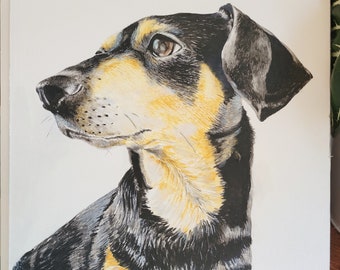 Custom Watercolor/Colored Pencil Pet Portraits