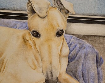 Custom Watercolor/Colored Pencil Pet Portraits