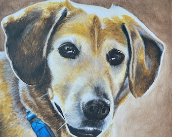 Custom Watercolor/Colored Pencil Pet Portraits