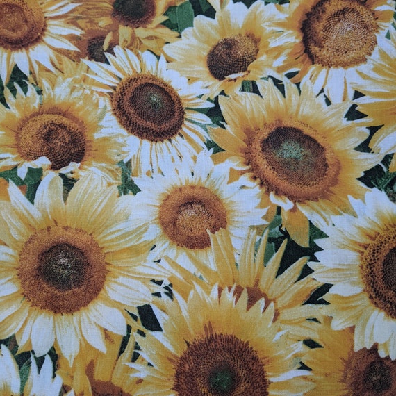 Sunflower pajama shorts sale