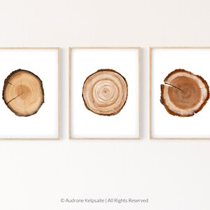 Tree Ring Printable Wall Art Set of 3, Tree Stump Instant Digital Print ...