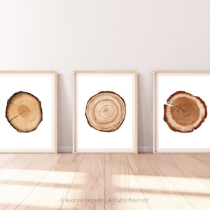 Tree Ring Printable Wall Art Set of 3, Tree Stump Instant Digital Print Download, Wood Slice Prints, Modern Farmhouse Art