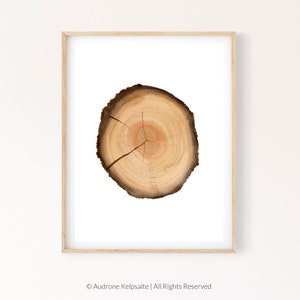 Tree Ring Printable Wall Art, Tree Stump Instant Digital Print Download, Wood Slice Prints, Modern Farmhouse Art