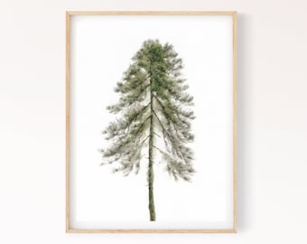 Pine Tree Printable Wall Art, Evergreen Scandinavian Conifer Tree Watercolor Painting, Minimalist Nature Digital Print Download
