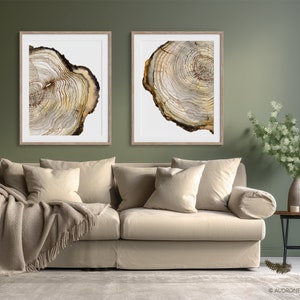 K&ouml;nnte beinhalten: Zwei gerahmte Drucke von Aquarellmalereien von Baumringen. Die Drucke h&auml;ngen an einer Salbeigr&uuml;nen Wand &uuml;ber einem beigen Sofa mit Kissen und einer Decke.