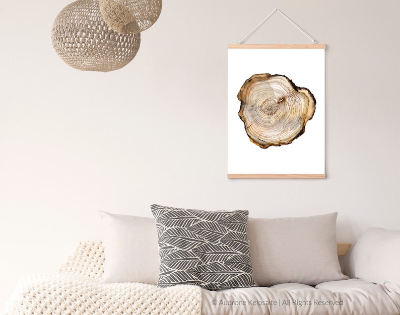 May include: A close-up of a wood slice with visible rings. The wood slice is light brown with darker brown rings. The wood slice is on a white background.