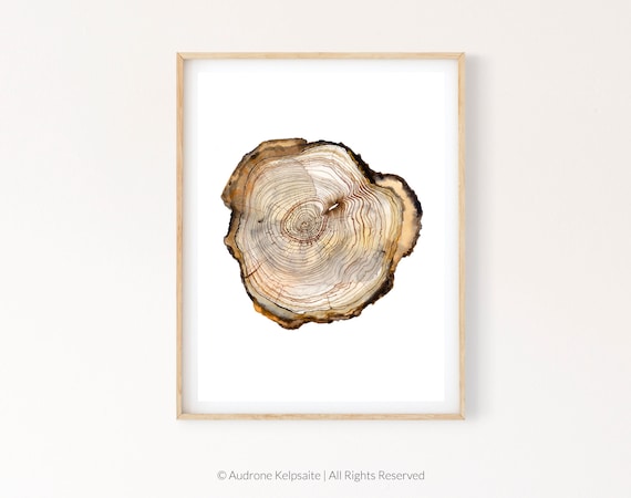 Tree Ring Printable Wall Art, Tree Stump Instant Digital Print Download, Wood Slice Prints, Modern Farmhouse Art
