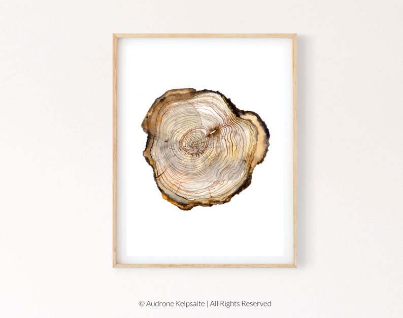 May include: A close-up of a watercolor painting of a tree trunk cross-section. The rings are visible in shades of brown, beige, and white.