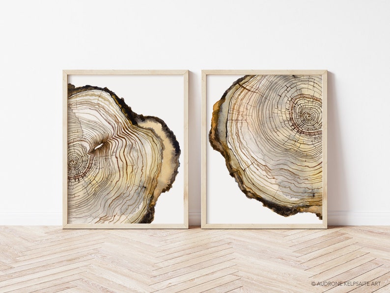 K&ouml;nnte beinhalten: Zwei gerahmte Aquarelldrucke mit Nahaufnahmen von Baumringen. Die Drucke sind in einem hellen Holzrahmen und haben einen wei&szlig;en Hintergrund.