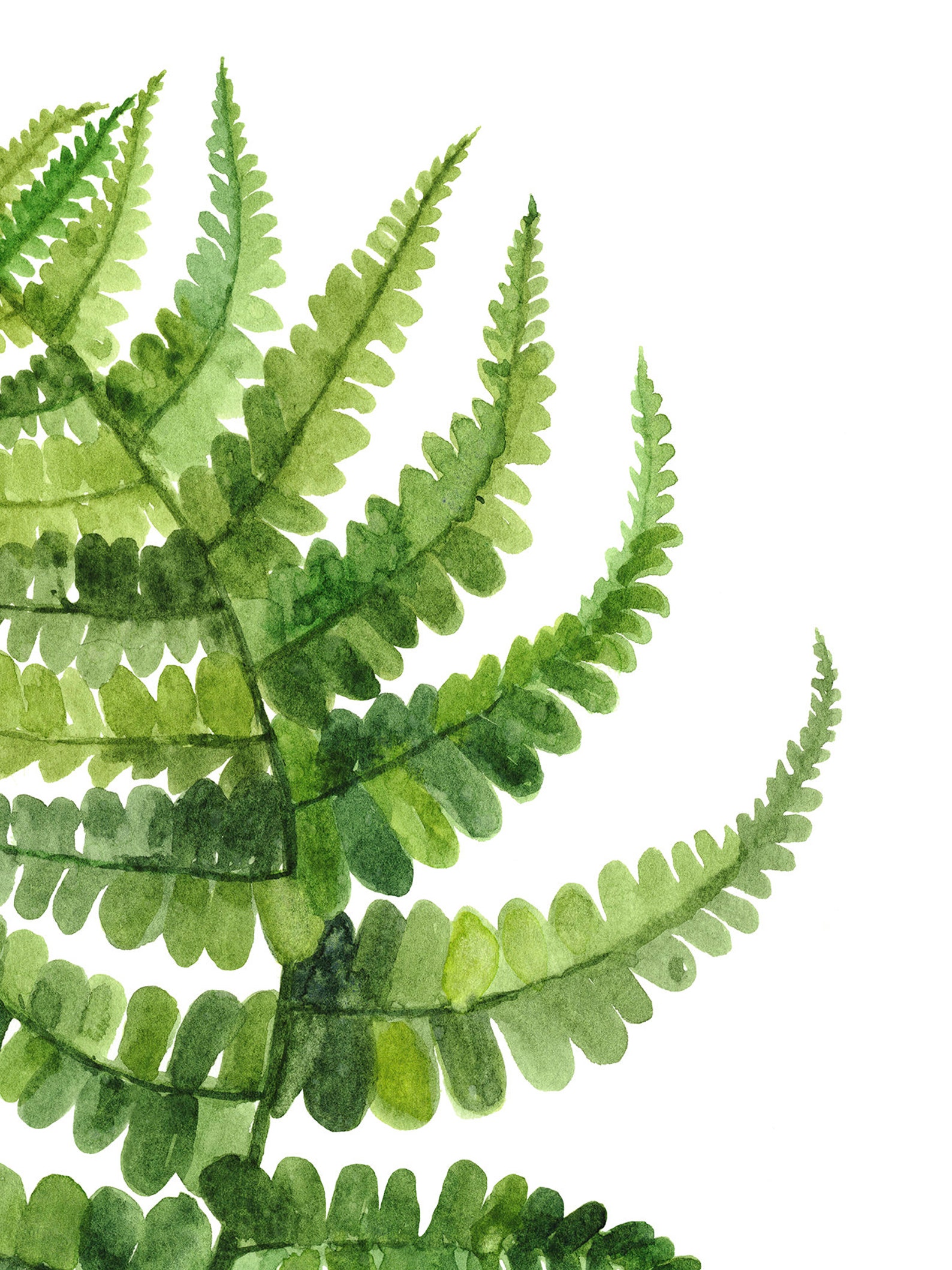 Fern Printable Wall Art Set of 2 Modern Botanical Greenery | Etsy