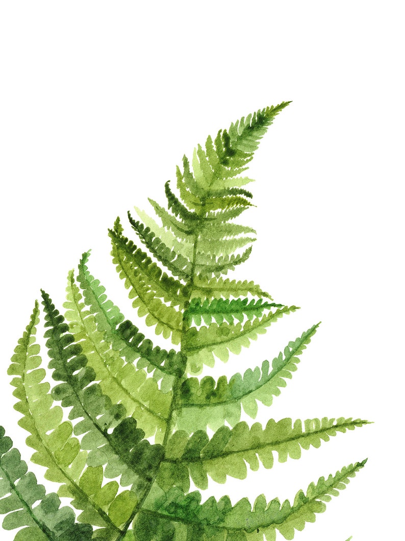 Fern Printable Wall Art Set of 2 Modern Botanical Greenery - Etsy